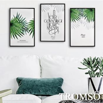 TROMSO-北歐生活版畫有框畫_19x29cm三幅一組 北歐綠葉