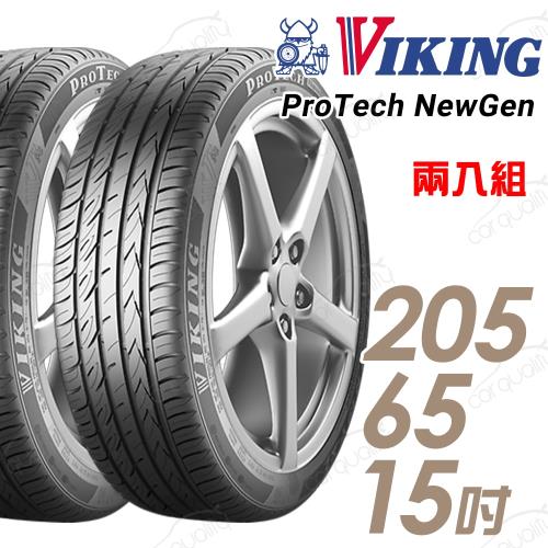 VIKING 維京 ProTech New Gen 濕地輪胎_兩入組_205/65/15(PTNG)