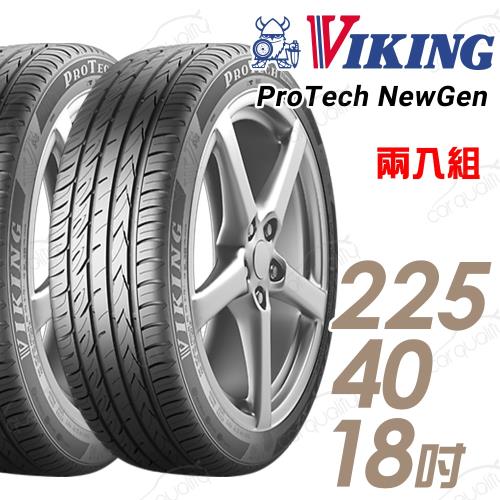 VIKING 維京 ProTech New Gen 濕地輪胎_兩入組_225/40/18(PTNG)