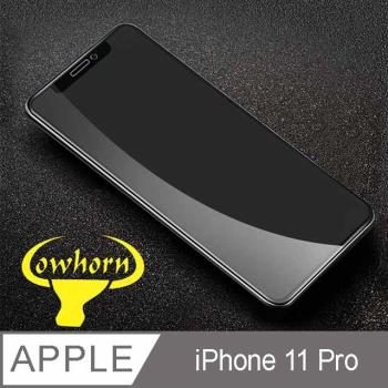 iPhone 11 Pro 2.5D曲面滿版 9H防爆鋼化玻璃保護貼 (黑色)