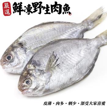 海肉管家-新鮮野生肉魚/肉鯽仔16尾(每尾約100g±10%)