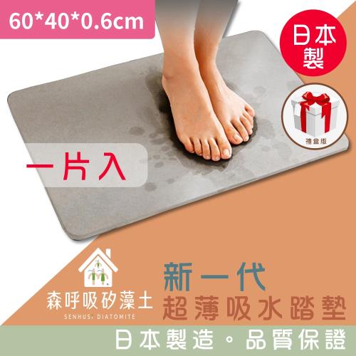 森呼吸矽藻土-新一代超薄吸水踏墊日本製-礦灰_1片入 60x40x0.6cm