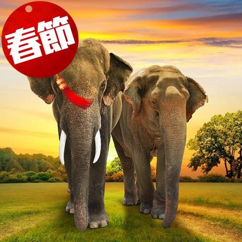 春節-泰國奢華五星.航海王爭霸戰.現撈流水蝦吃到飽5+1天旅遊1/24(除夕)