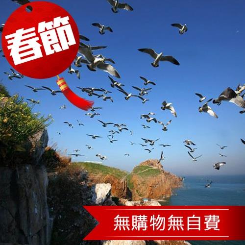 清艙春節 巳成團 -山東青島八仙5日(無購物無自費) 旅遊