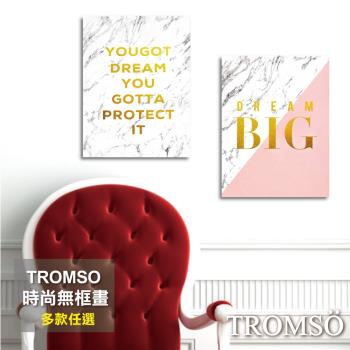 TROMSO-時尚無框畫_30x40cm兩幅一組 多款任選