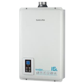 (全省安裝)櫻花16公升強制排氣(與DH1670A/DH-1670A同款)FE式LPG熱水器桶裝瓦斯DH-1670AL