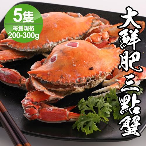 海鮮王 野生大鮮肥三點蟹*5隻組(200-300g/隻)