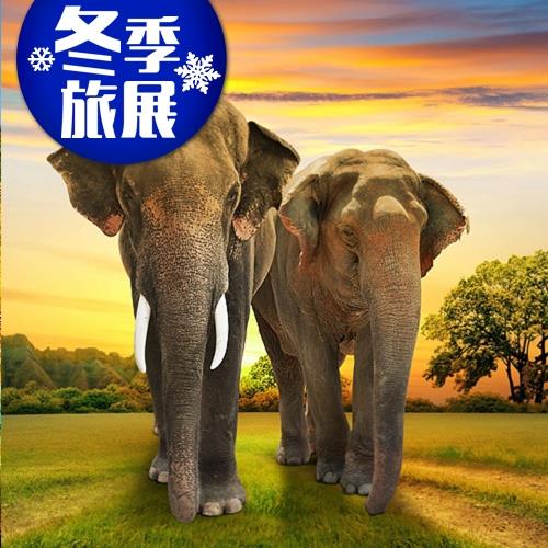 冬季旅展-泰國冰雪世界、金象神灣、76府古城5+1天旅遊