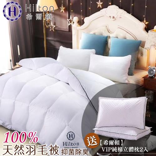 Hilton希爾頓 五星級頂級抗菌除臭100%天然羽毛被2.1KG