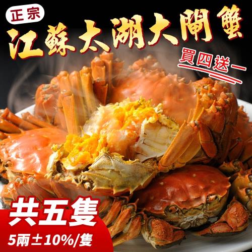 雙11限定-買四送一 吃貨食間 老饕級正宗江蘇太湖大閘蟹(5兩(含繩)±10%/隻)，共計5隻