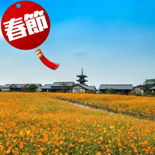 春節清艙-江南烏鎮水鄉喜來登五星酒店5日(無自費)旅遊1/24
