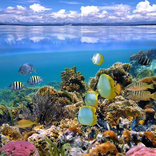 沙巴紅林灣+大堡礁海洋世界超值渡假趣6日旅遊