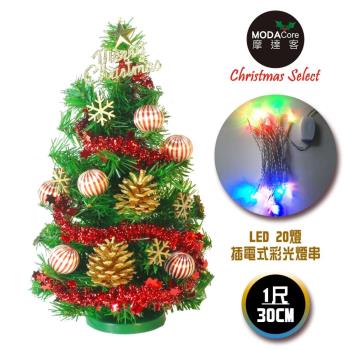 台灣製迷你1呎/1尺(30cm)裝飾綠色聖誕樹(木質雪花系)+LED20燈彩光插電式*1(免組裝)本島免運費