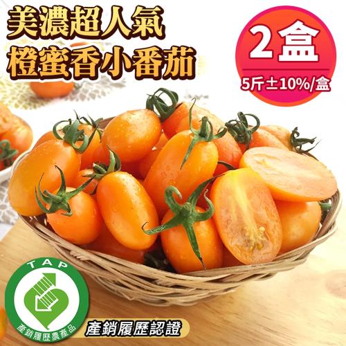 高雄美濃 產銷履歷認證 橙蜜香小蕃茄(5斤±10%/盒)x2盒