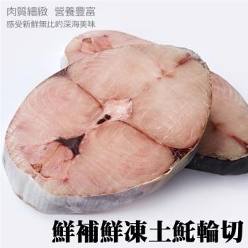 【買10送10】海肉管家-嚴選優質無肚洞土魠魚共20片(約100g/片)