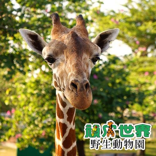 台南頑皮世界野生動物園門票2張(平假日適用)