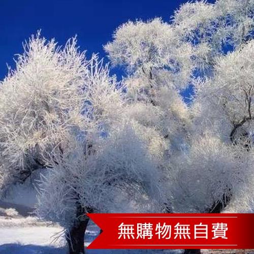 內蒙冰雪奇緣呼倫貝爾銀色草原8日(無購物無自費)旅遊