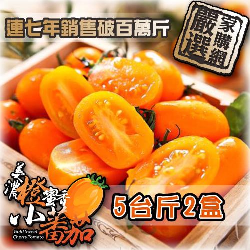 家購網嚴選-美濃橙蜜香小蕃茄 5斤x2盒 連七年總銷售破百萬斤 口碑好評不間斷