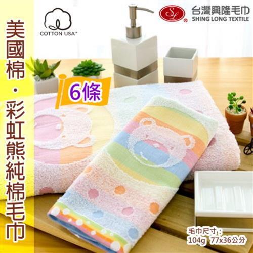 美國棉彩虹熊毛巾 (6條裝) 台灣興隆毛巾製 