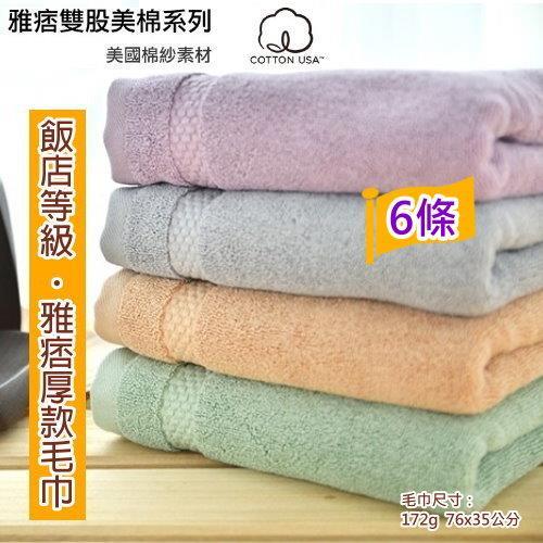 台灣興隆毛巾製  美國棉雅痞雙股加厚毛巾(6條裝) 