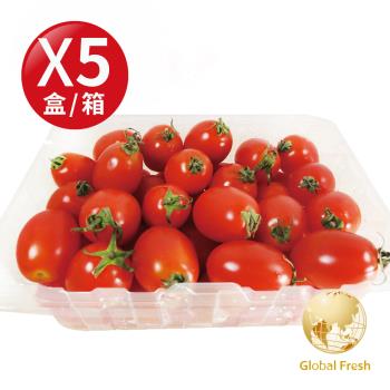 盛花園蔬果 嘉義聖女番茄600g x5盒(高CP值_四季水果)