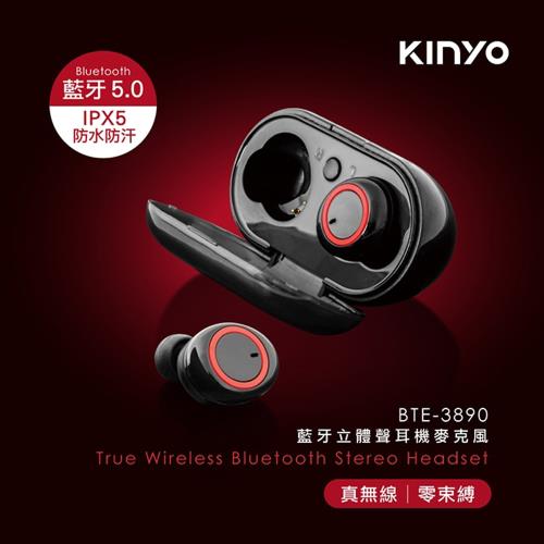 KINYO 藍牙立體聲耳機麥克風(BTE-3890)|影音多媒體