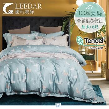 LEEDAR 麗的 清新派 頂級加大天絲TENCEL全舖棉冬包組高度35公分