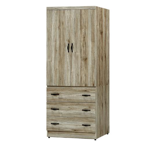 Boden-狄蒙2.7尺二門三抽衣櫃