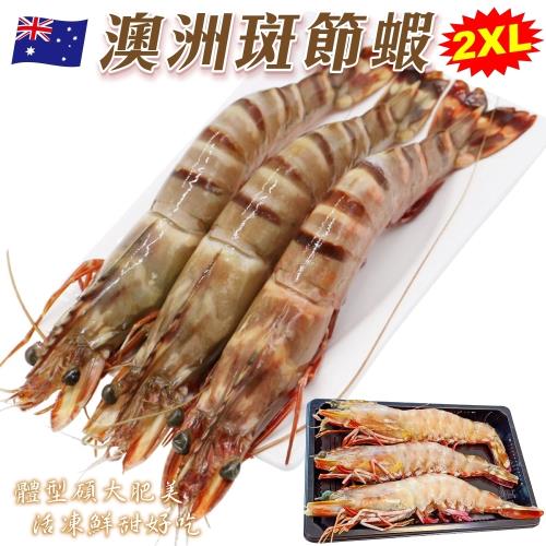 海肉管家-澳洲野生2XL斑節明蝦(1隻/每隻約90g±10%)
