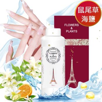 溼洗手【愛戀花草】鼠尾草+海鹽酒精洗手-淨菌潔泡洗手液 250MLx2