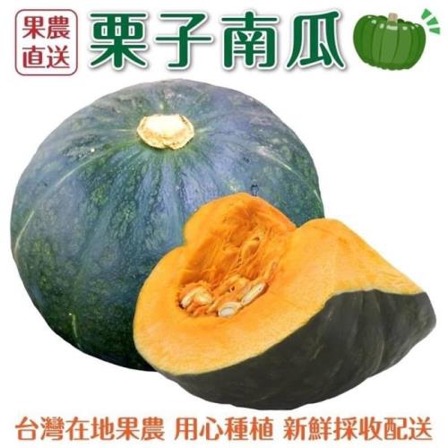 果農直配-日本品種栗子南瓜(4-5顆_約10斤/箱)