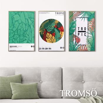 TROMSO-北歐生活版畫有框畫 19x29cm三幅一組 百樂叢林