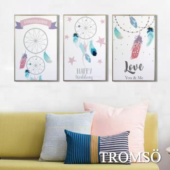 TROMSO-北歐生活版畫有框畫 19x29cm三幅一組 美夢羽毛