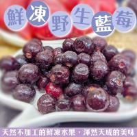 冷凍藍莓 Etmall東森購物網 冷凍藍莓 Etmall東森購物網