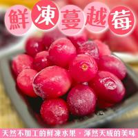 冷凍蔓越莓 Etmall東森購物網 冷凍蔓越莓 Etmall東森購物網