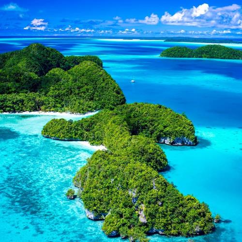 帛琉樂活自由行4天旅遊