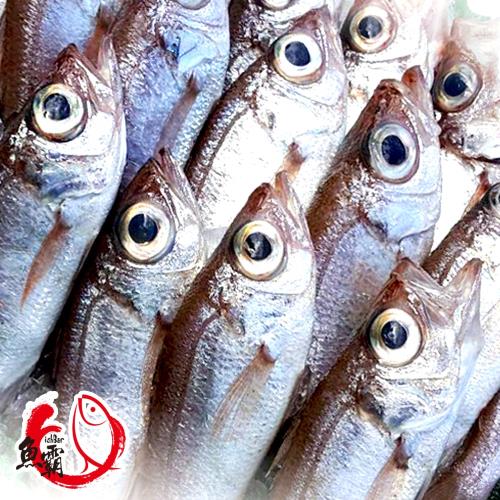 野生現撈大目仔灰軟魚3入組 (400-450g±10%/入,約4-5隻)