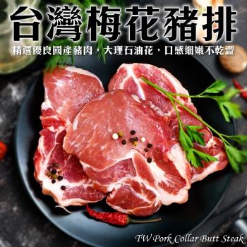 (買10送10)海肉管家-台灣嚴選嫩肩豬排(20片/每片約100g±10%)