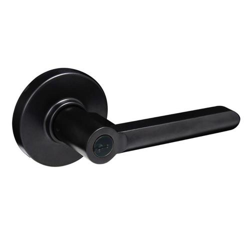 LP3X907 加安 60mm 消光黑 內側自動解閂 水平把手 圓套盤 防盜鎖 把手鎖 水平鎖 門鎖 房間 客廳