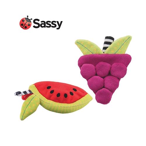 美國 Sassy 多功能清涼貼 /冰涼咬咬袋 (葡萄or西瓜)