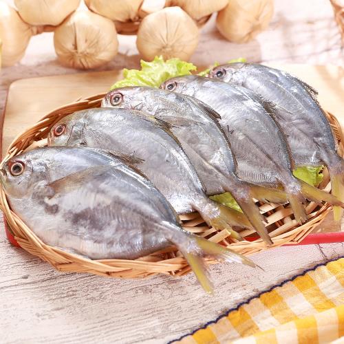 【海之金】鲜冻南美银鲳9包组(800g/包,6尾装)|鲳鱼/黄鱼|etmall东森