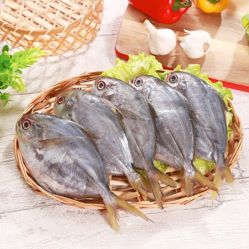 【海之金】鲜冻南美银鲳9包组(800g/包,6尾装)|鲳鱼/黄鱼|etmall东森