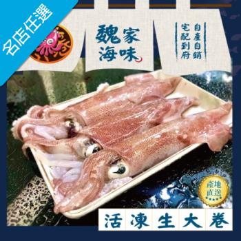 任-魏家海味 基隆八斗子船撈活凍生大卷(3-4隻/300g/盒)