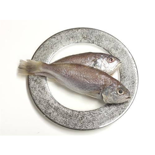 好食讚極鮮油脂豐富肉質細嫩白口魚 鮮魚 Etmall東森購物 好食讚極鮮油脂豐富肉質細嫩白口魚 鮮魚 Etmall東森購物