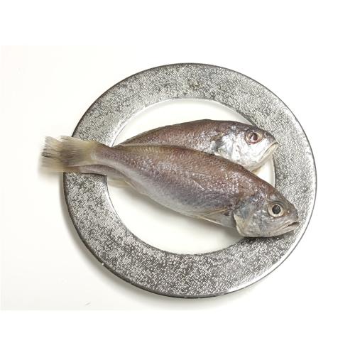 好食讚極鮮油脂豐富肉質細嫩白口魚 鮮魚 Etmall東森購物