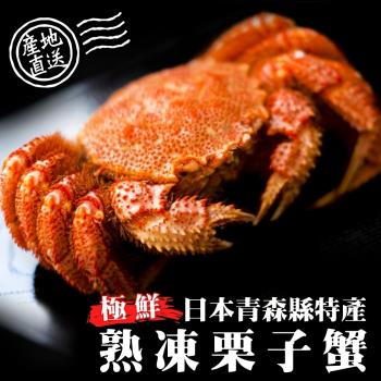 (買1送1)海肉管家-日本熟凍栗子母蟹(共2隻/每隻約150-180g)