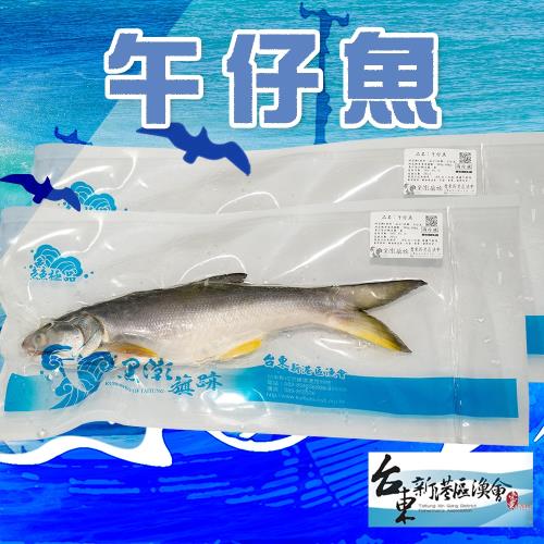 新港漁會  午仔魚-300g-400g-包 (1包組)