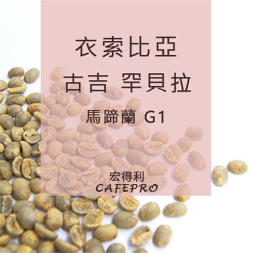 衣索比亞  古吉 罕貝拉  馬蹄蘭 G1 (日曬) (咖啡生豆)