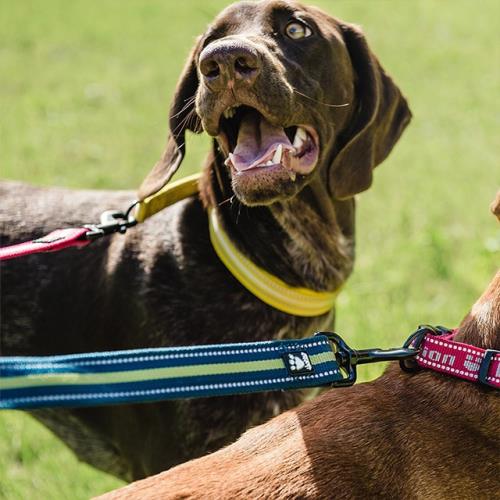 芬蘭 Hurtta牽繩-舒適高反光牽繩 Soft Grip Reflective Leash-180cm*20mm(四色可選)