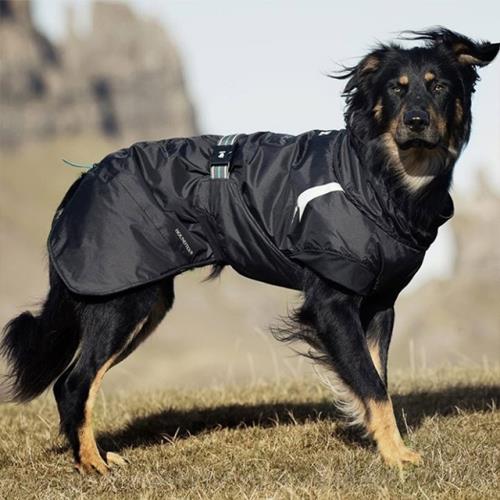 芬蘭 Hurtta 超輕防潑水透氣保暖機能衣II Summit Parka(55)